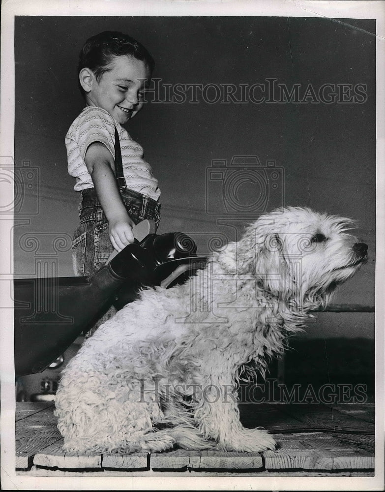 1951 Press Photo Child mark Buck Cleaning Dog with Vacuum Cleaner - nea53506-Historic Images