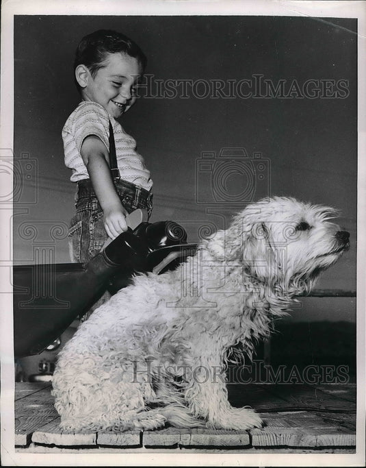 1951 Press Photo Child mark Buck Cleaning Dog with Vacuum Cleaner - nea53506-Historic Images