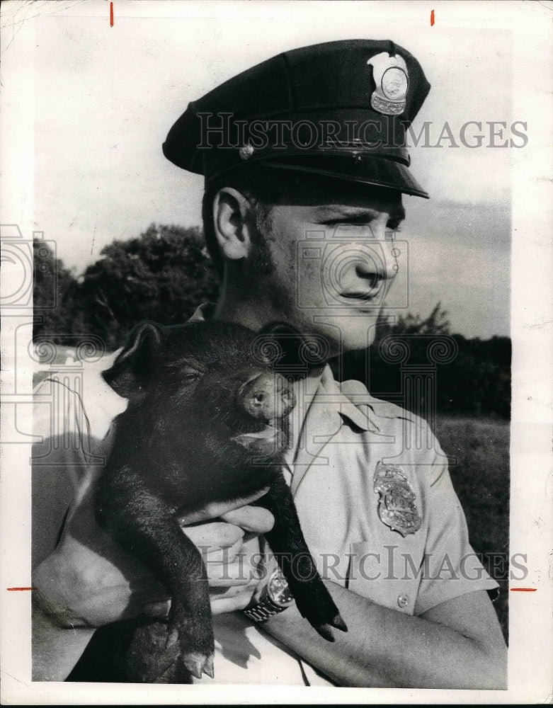 1970 Policeman Davis Mack &amp; Pig Molly  - Historic Images