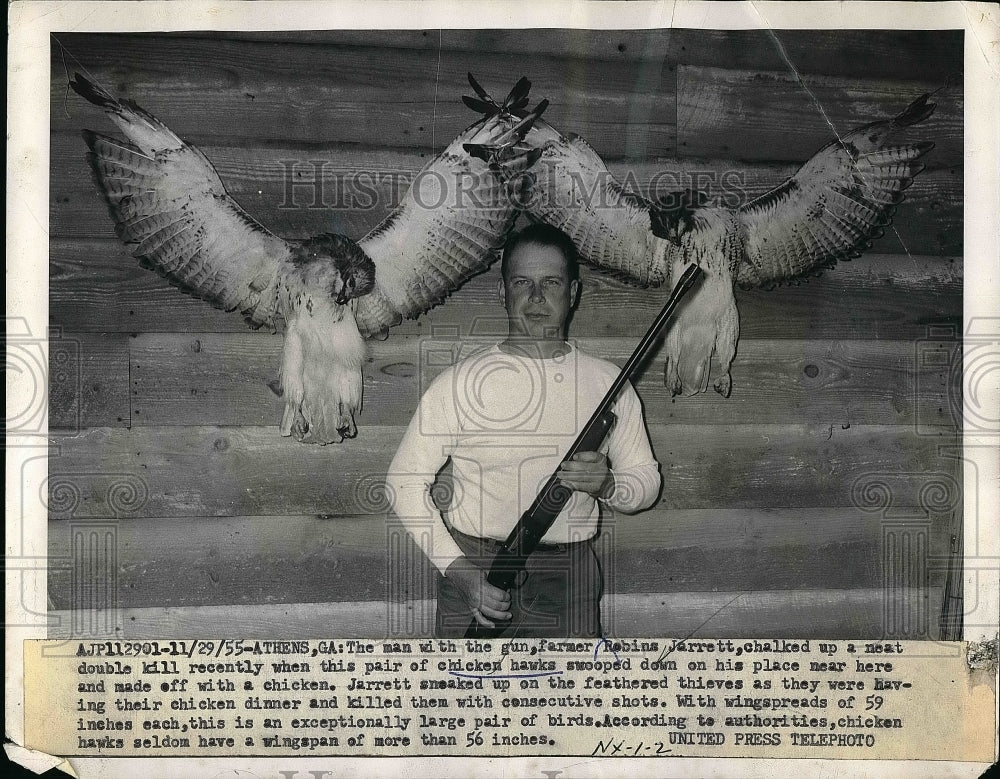 1955 Press Photo Robins Jarrett Kills Two Prize Chicken Hawks Near Chicken Coop - Historic Images