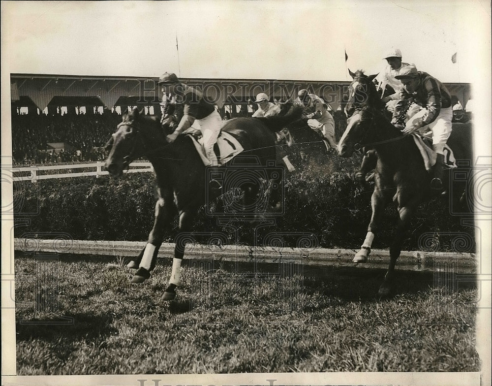 1934 Press Photo Quick Marsh Wins Steeplechase - nea54664 - Historic Images