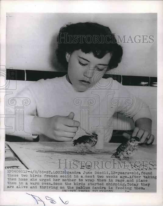 1956 Press Photo Sandra June Doedli with two birds she saved from freezing - Historic Images