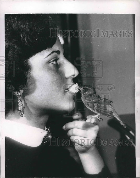 1954 Rogina De Fonza Has Cock Sparrow Bird Eating Cake From Mouth - Historic Images