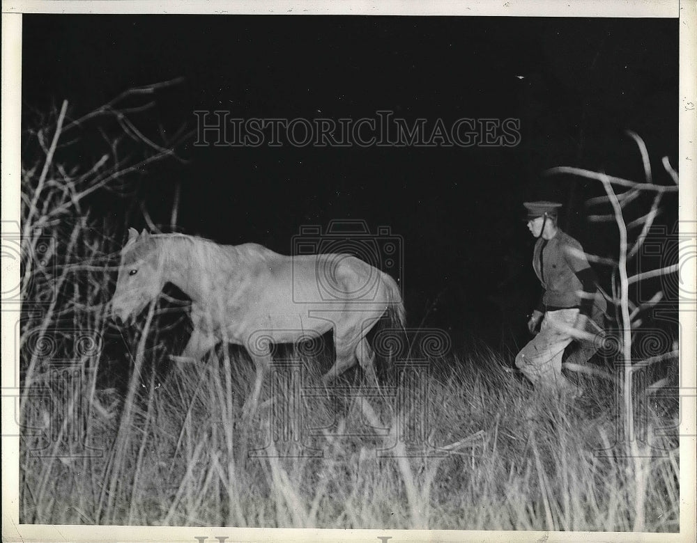 1938 Caly Forest Fire man and horse  - Historic Images