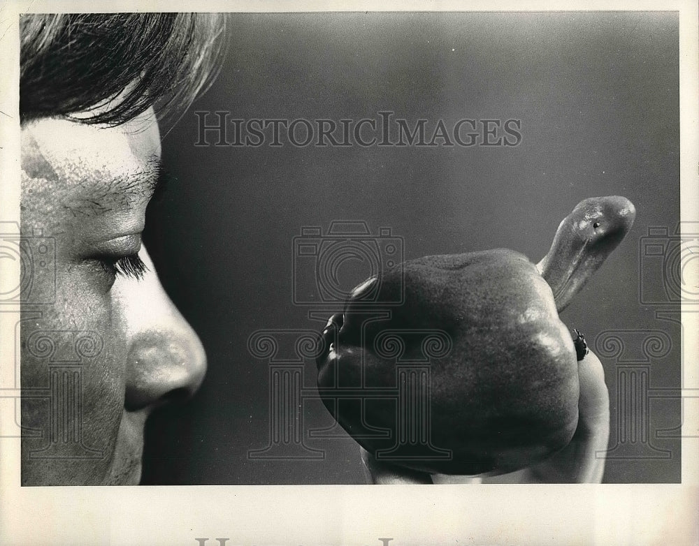 Press Photo California Wonder Pepper - nea55937 - Historic Images