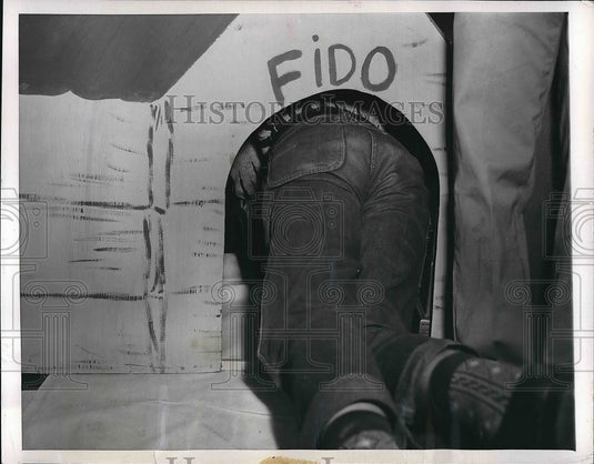 1950 High School Student Ronald Christensen Gets Stuck In Dog House - Historic Images