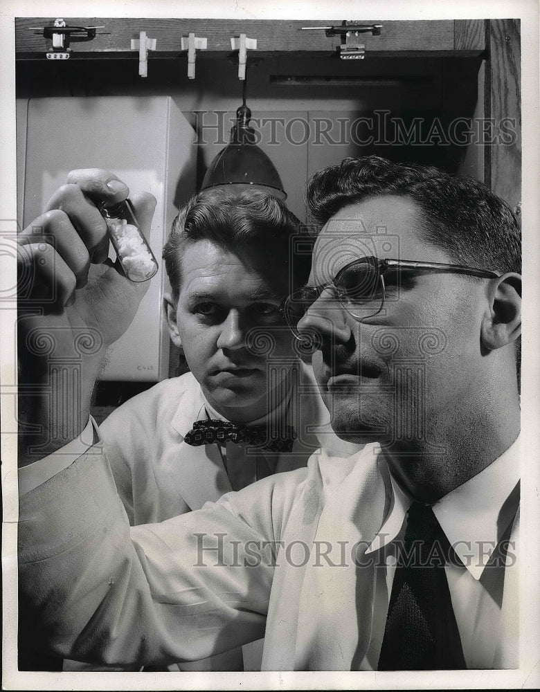1956 Press Photo John Vennes and Dr. Philip Gerhardt studying bacteria - Historic Images