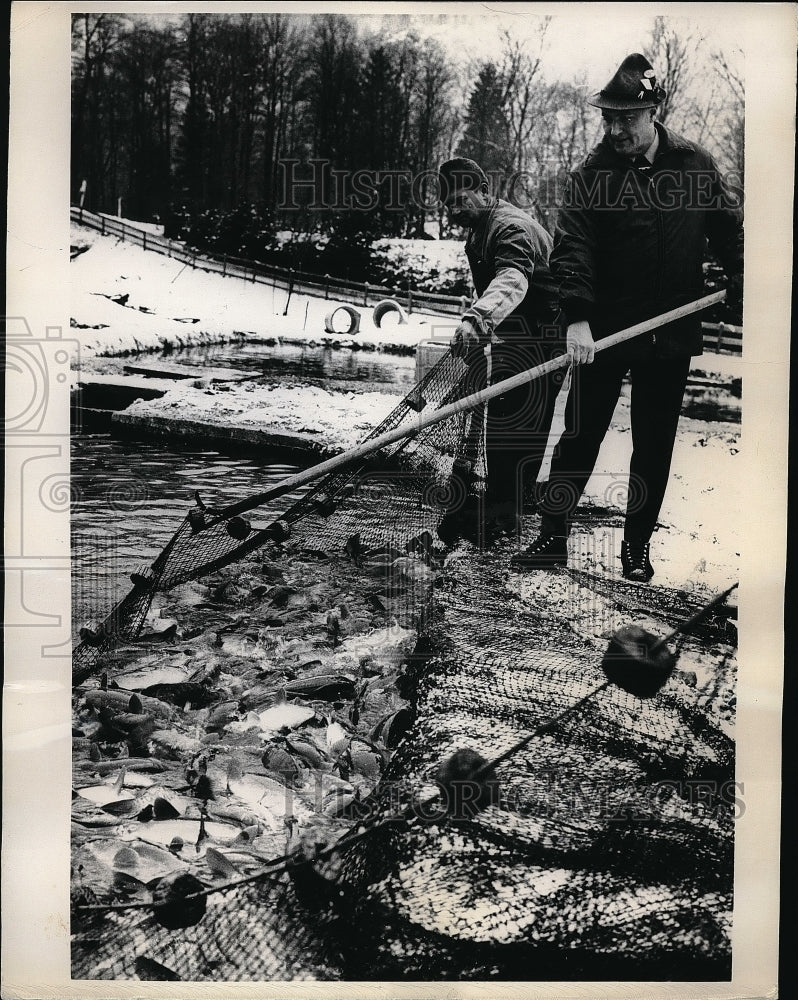 1968 Press Photo Two fishermen hauling up a net full of carp - nea56189 - Historic Images