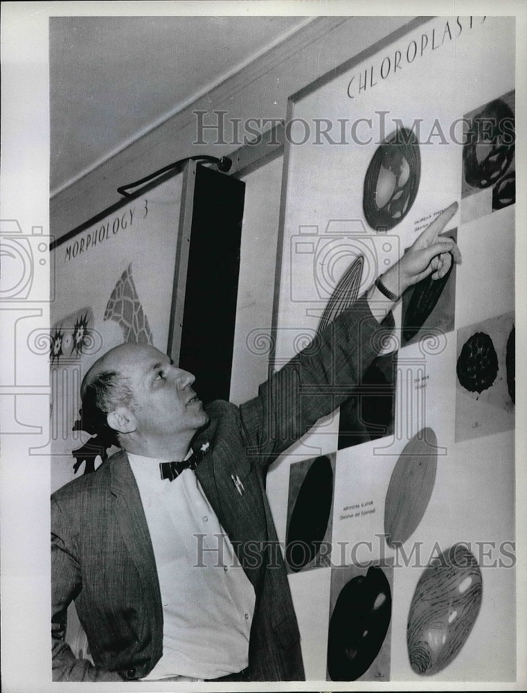1961 Dr Marvin Calvin researching Chlorella  - Historic Images