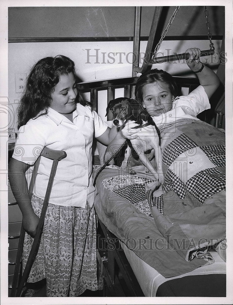 1960 Injured children playing with a dog  - Historic Images