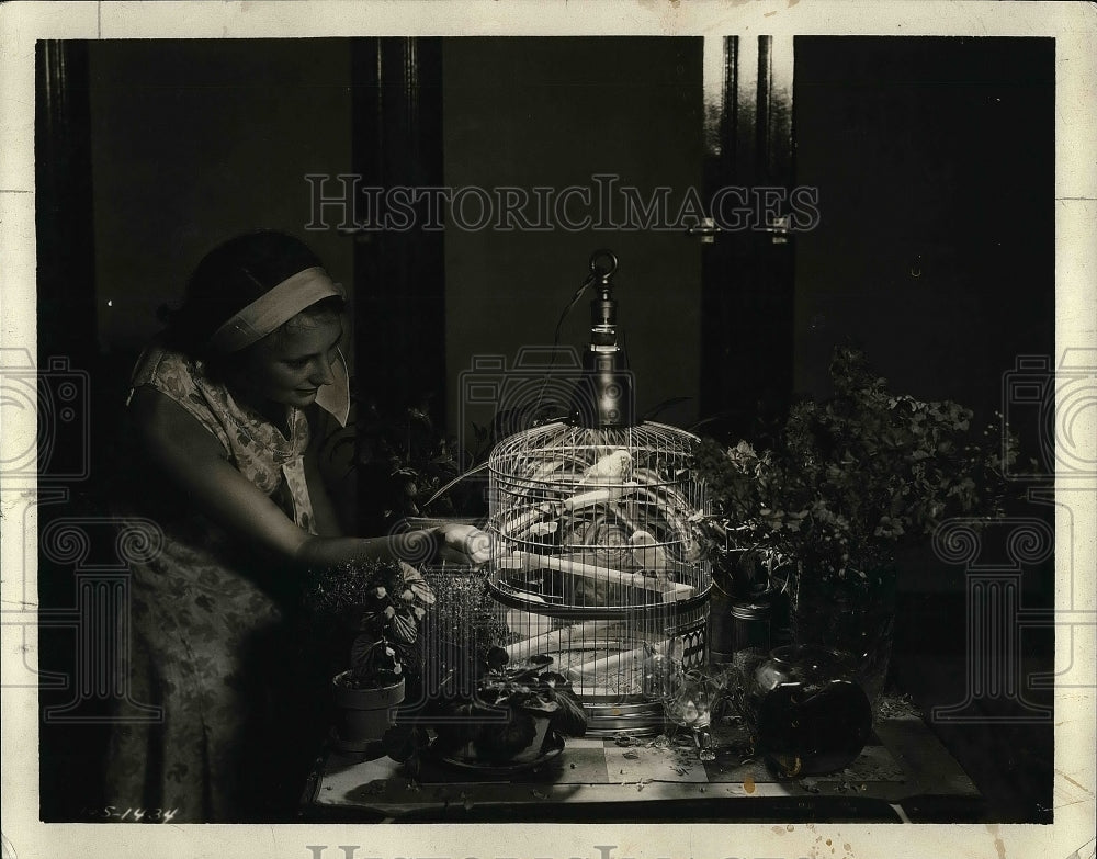 1931 Press Photo Alice Porter Daughter Of L.C. Porter Looking At Sunlamps & Cage - Historic Images