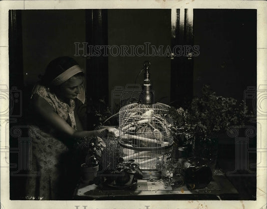 1931 Press Photo Alice Porter Daughter Of L.C. Porter Looking At Sunlamps & Cage - Historic Images