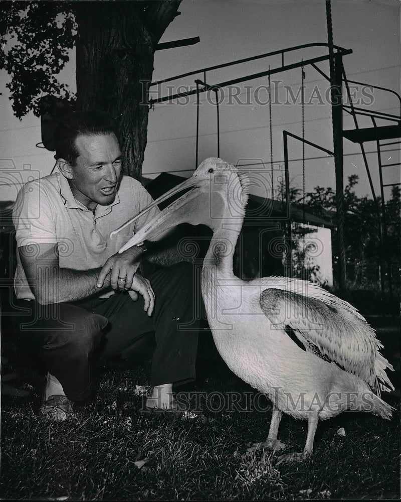 1963 Press Photo Photographer Bob Davison & "Snapper" The Pelican In Utah - Historic Images