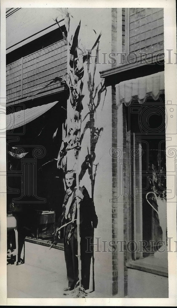 1932 Press Photo William Johnson holding a cornstalk - nea56975 - Historic Images