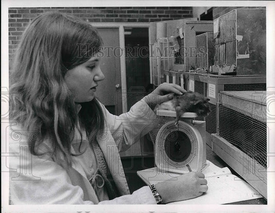 Sue Dolen Of Beachwood High School Weighs An Animal For A Project - Historic Images