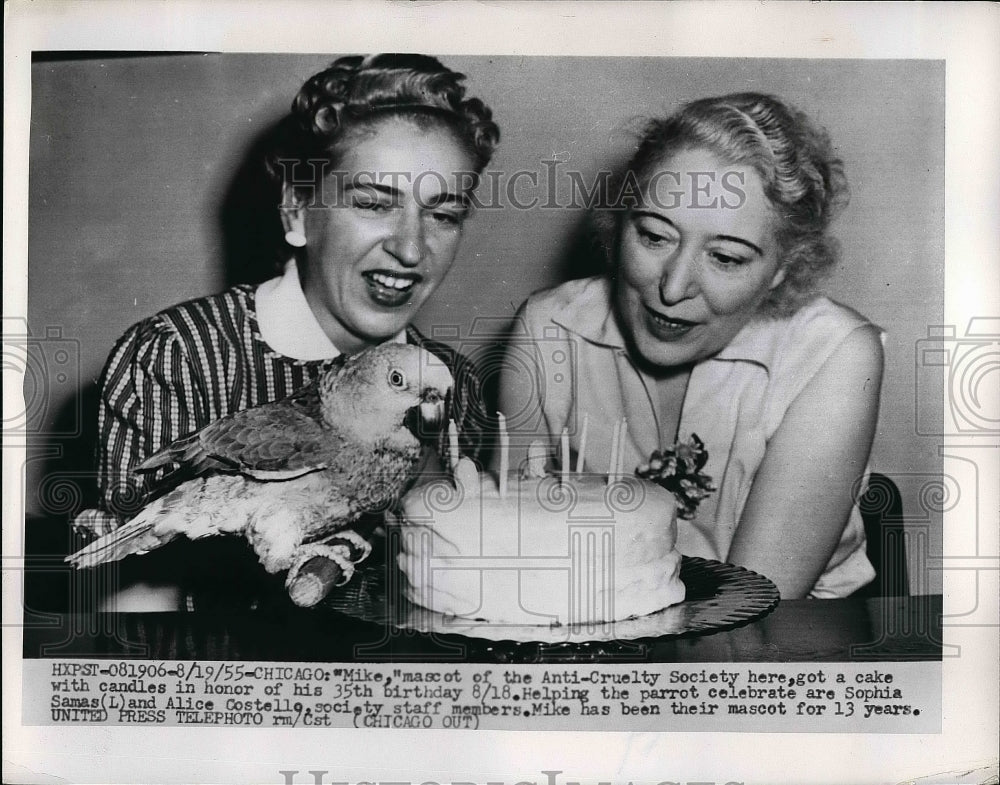 1955 Press Photo Sofia Samas and Alice Costello of the anti-cruelty Society-Historic Images