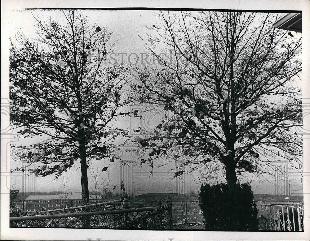 Press Photo Rear Of G. W. Conte, 12005 Andover - nea57327 - Historic Images