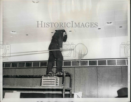 1960 Press Photo Tom Morton, American Society for Prevention of Cruelty Animals - Historic Images