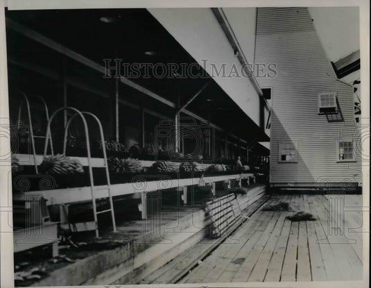 1939 Press Photo Full Cargo Of Bananas Being Transferred To Refrigerator Cars - Historic Images