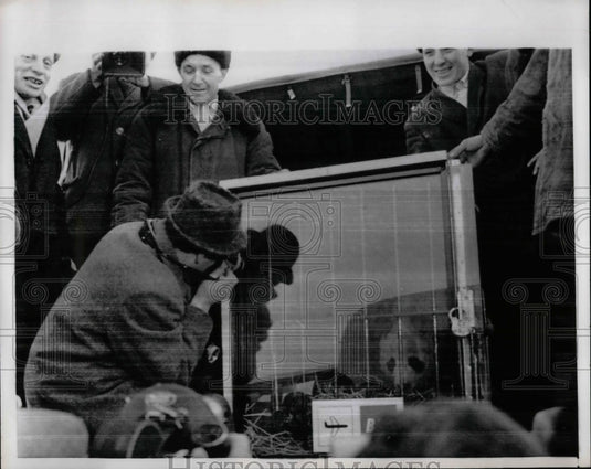 1966 Chi - Historic Images