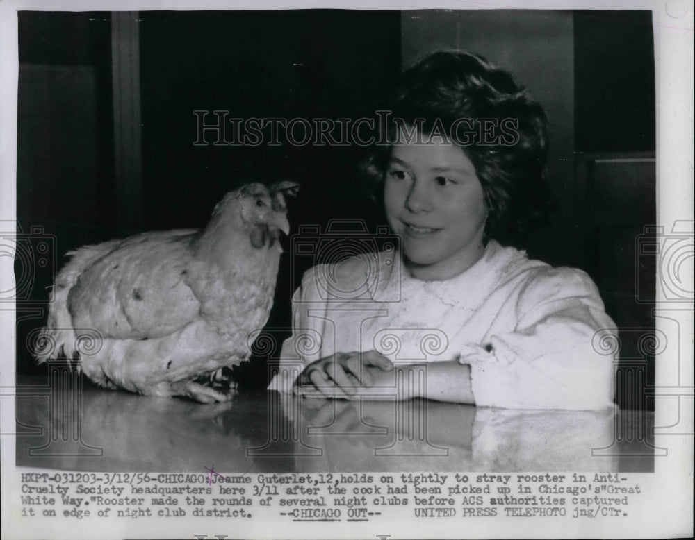 1956 Jeanne Guterlet with Stray Rooster in Chicago  - Historic Images