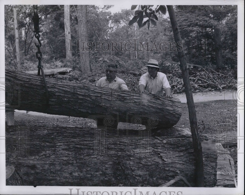 Press Photo Milan Rapel Sr. Berkshire Hills - nea58462 - Historic Images