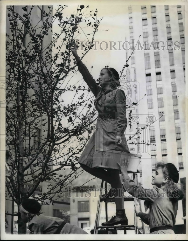 1941 Press Photo Girl Scouts Helen Jacobsen &amp; Patricia Sinclair - nea58632 - Historic Images