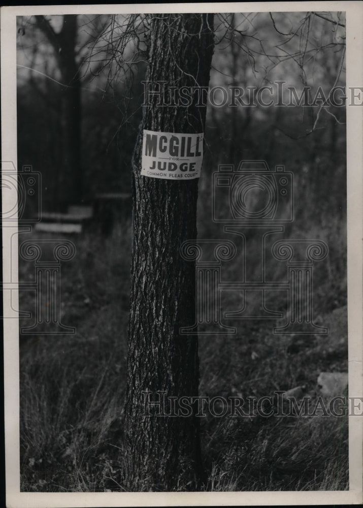 1932 In Ambler Park, east side of Fairmount Road, McGill for Judge - Historic Images