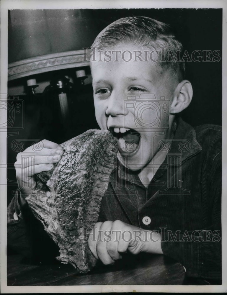1960 Bruce Flesch Found Woo1ly Mammoth Tooth  - Historic Images