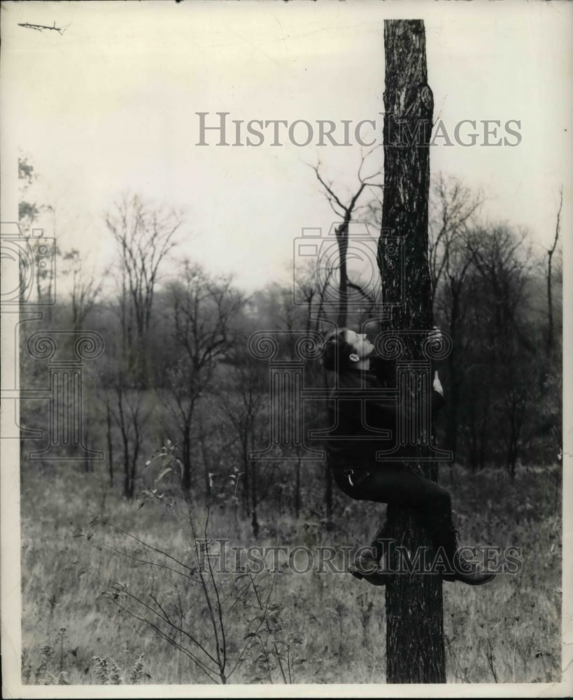 1941 Press Photo Hill Instructor Davey Tree Expert Co Demonstrates Tree Climbing - Historic Images