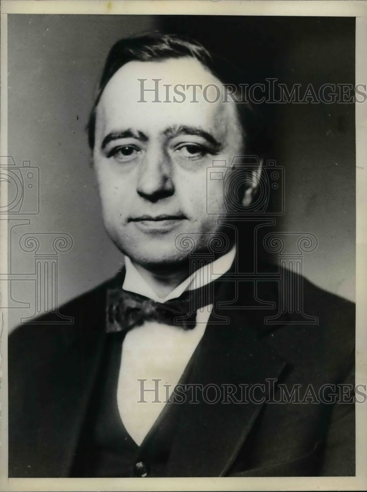 1931 Matthew Woll, Acting President American Federation of Labor - Historic Images