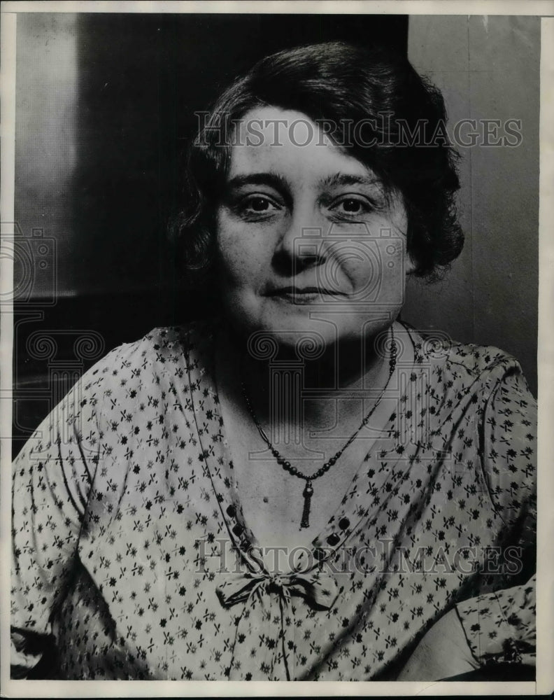 1929 Press Photo Lady of St. Louis Accused of Wrecking Davis Boring Tool Co. - Historic Images