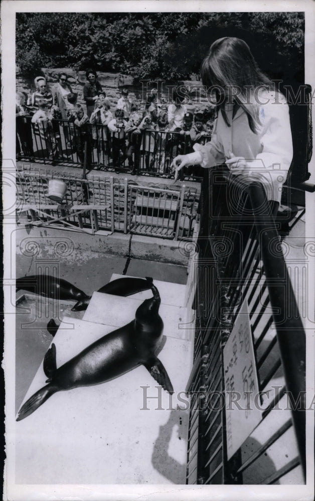 1968 Press Photo Linda Johnson feeds seal at Dircland Aquarium - nea59806 - Historic Images