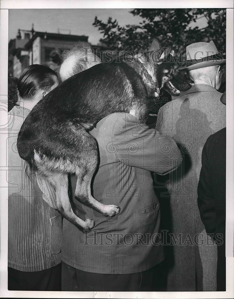 1952 Waiting to Hear Candidate Dwight Eisenhower Speak  - Historic Images
