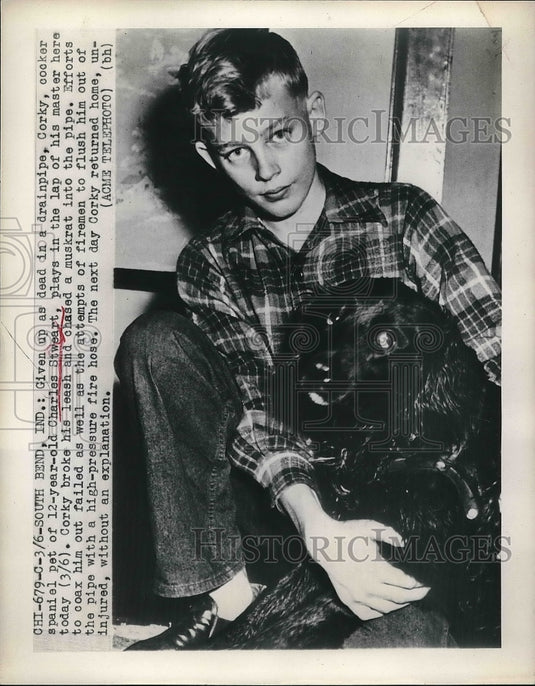 1948 Press Photo Charles Stweart with Corky Cocker Spaniel Pet Stuck Drainpipe - Historic Images