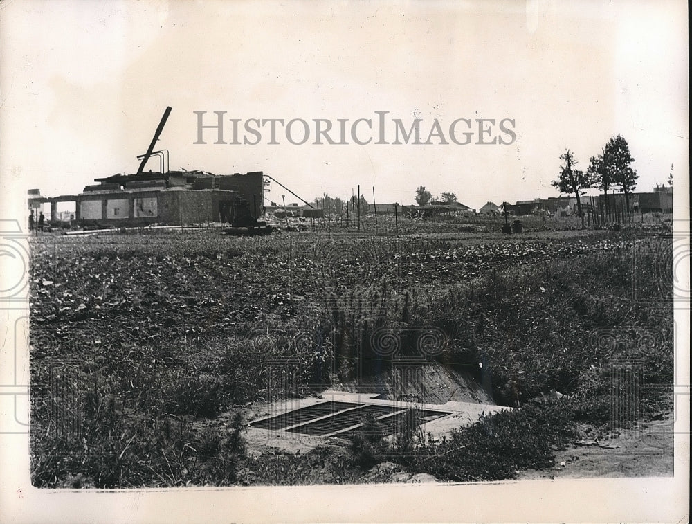 1947 Vegetable Grown Amid Ruins of German Plant Stripped for Russia - Historic Images