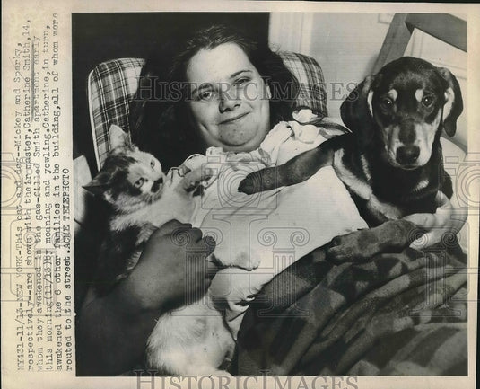 1947 pets Mickey & Sparky warn others of building gas leak in NY - Historic Images