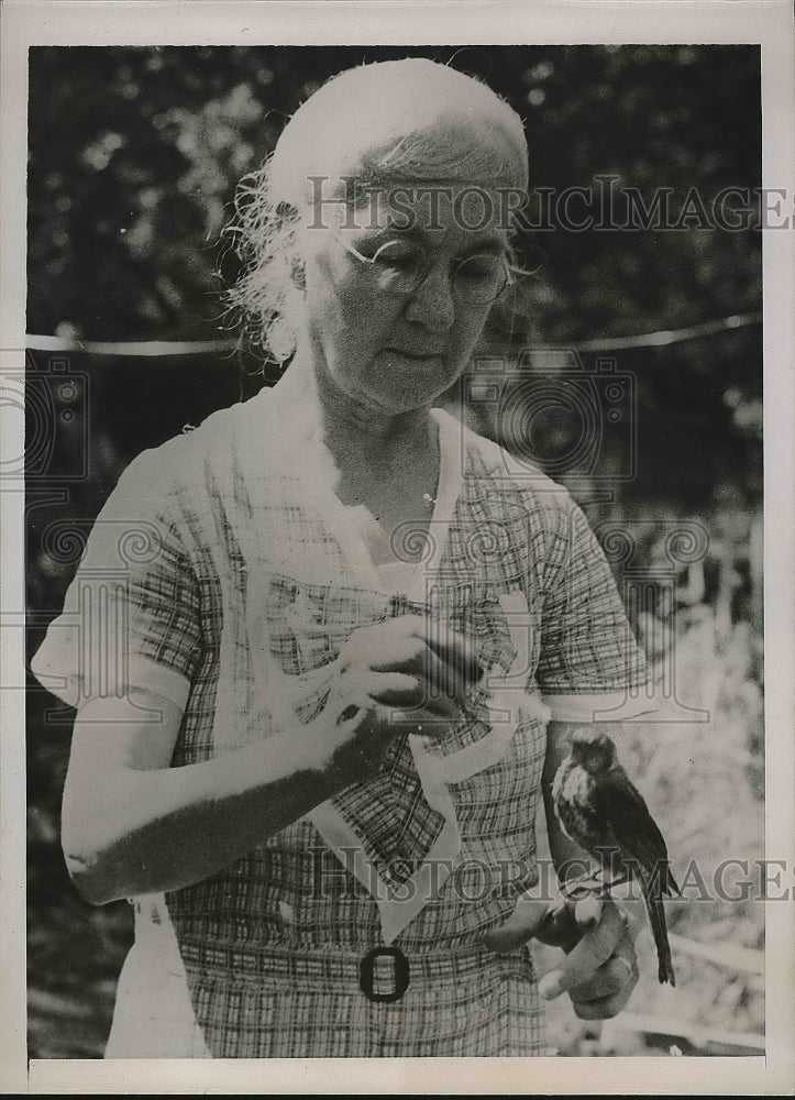 1935 Press Photo Mrs. H.G. Gosting Kansas City Giving water to Robin - Historic Images