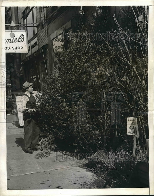 1941 Workers Prepares Christmas Trees For Sale In New York - Historic Images