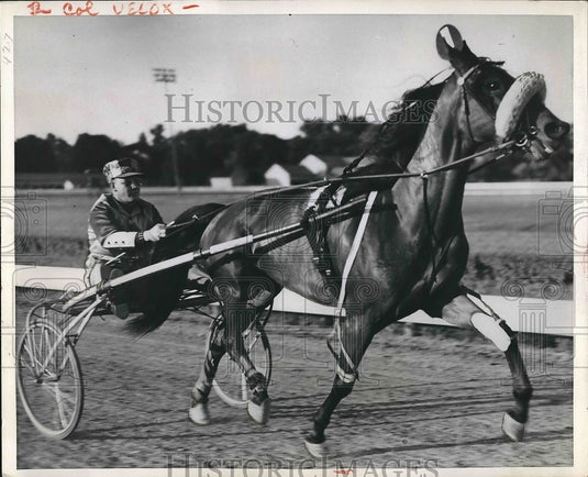 1951 Press Photo Betsy Volo, Del Miller - Historic Images