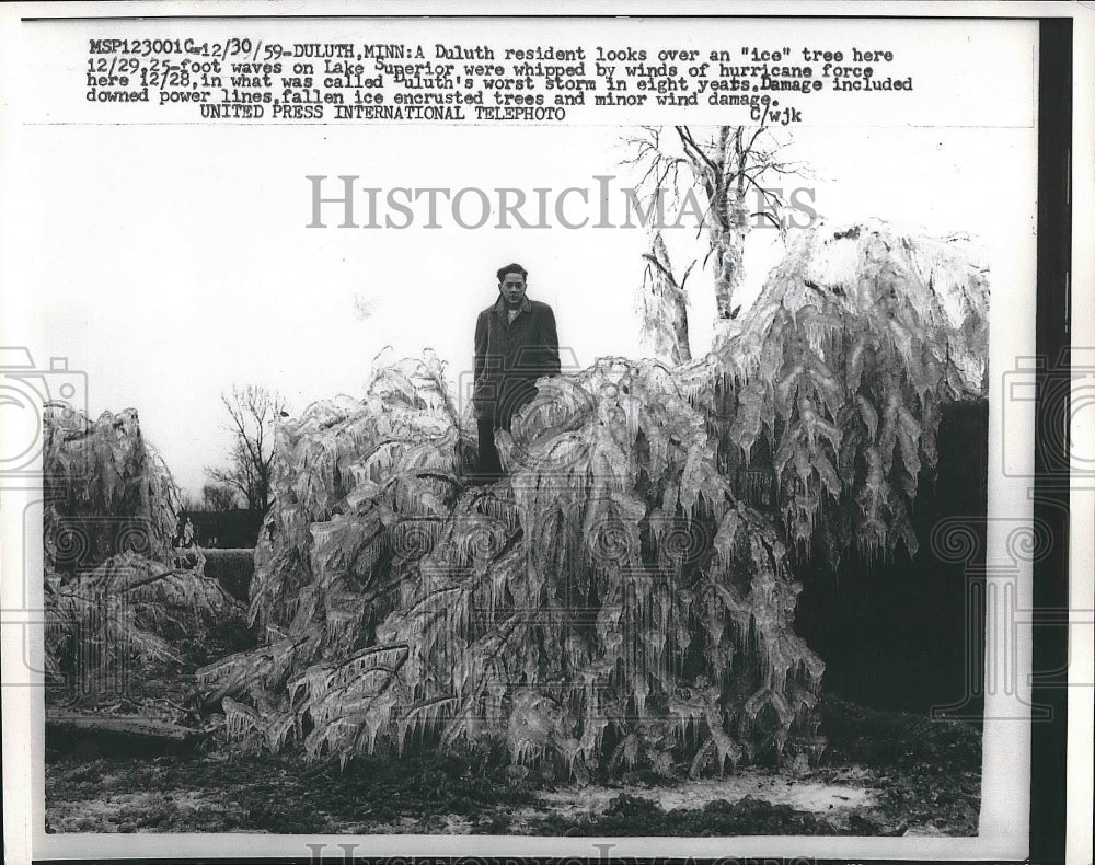 1960 Man standing unfrozen tree after ice storm  - Historic Images