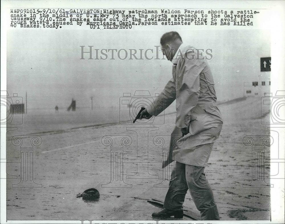 1961 Press Photo Highway Patrolman Shoots Rattlesnake Weldon Parson - nea63537 - Historic Images