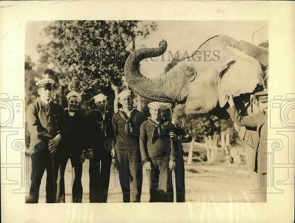 1924 Blue jackets from the USS Milwaukee with An elephant - Historic Images