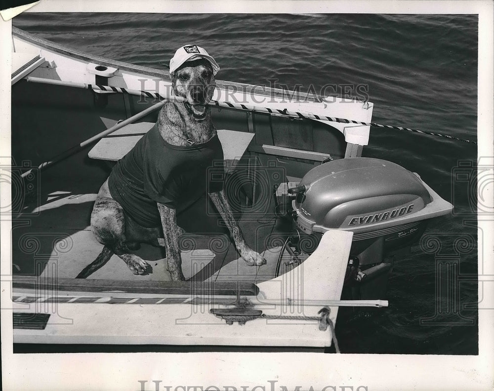 1953 Press Photo Great Dane Keeps Tight Handle On Fishing Rod - nea63721 - Historic Images