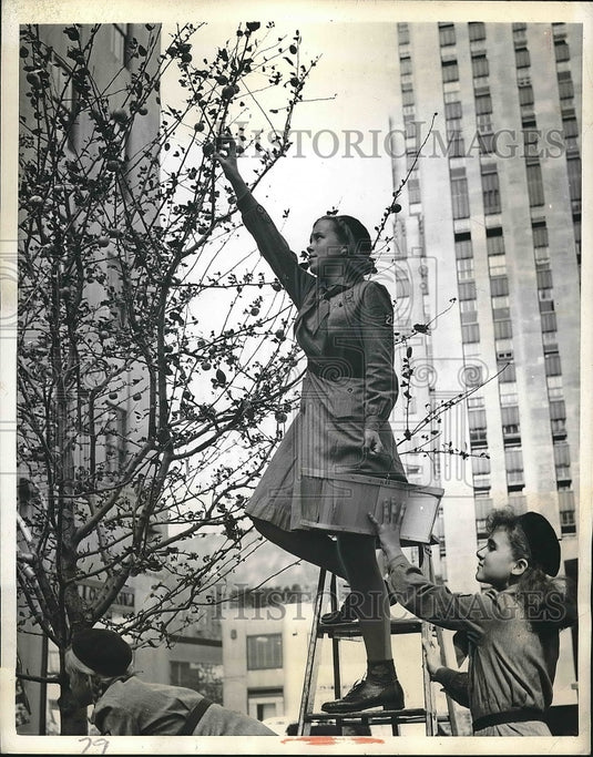 1941 Girl Scouts Helen Jacobsen & Patricia Sinclair During Harvest - Historic Images