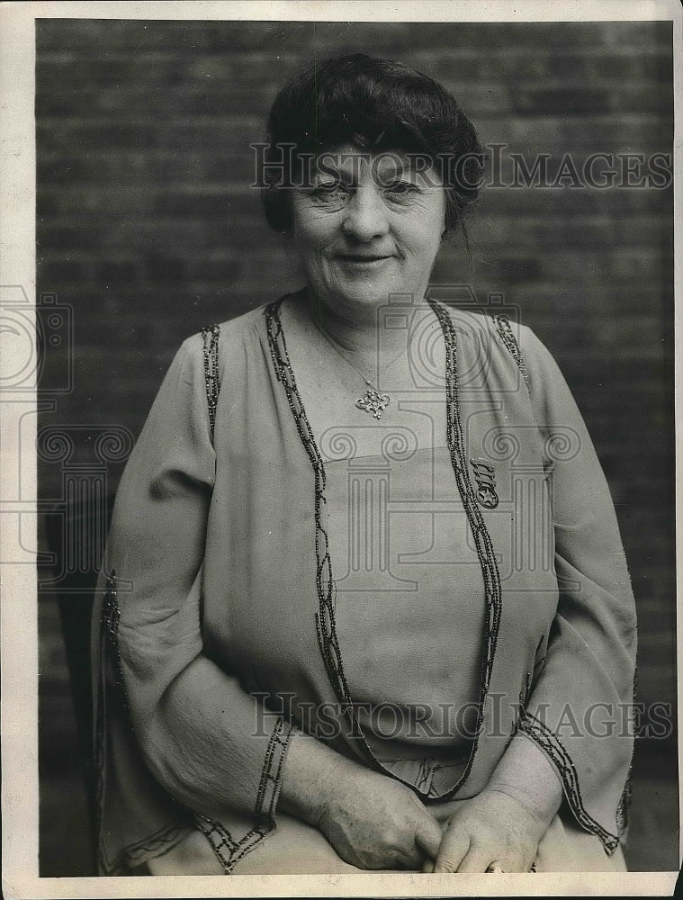 1925 Press Photo President Mrs. John Quinn Of New York Women&#39;s Democratic Club - Historic Images