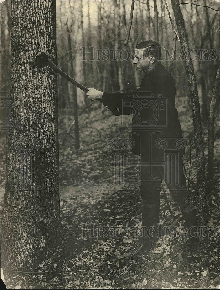 1922 Col. WB Greeley chopping down a tree  - Historic Images