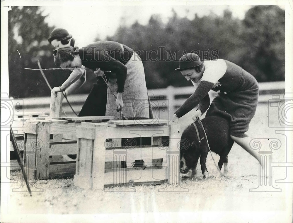 1935 Mrs. Graham Johnston putting pigs int he pen.  - Historic Images