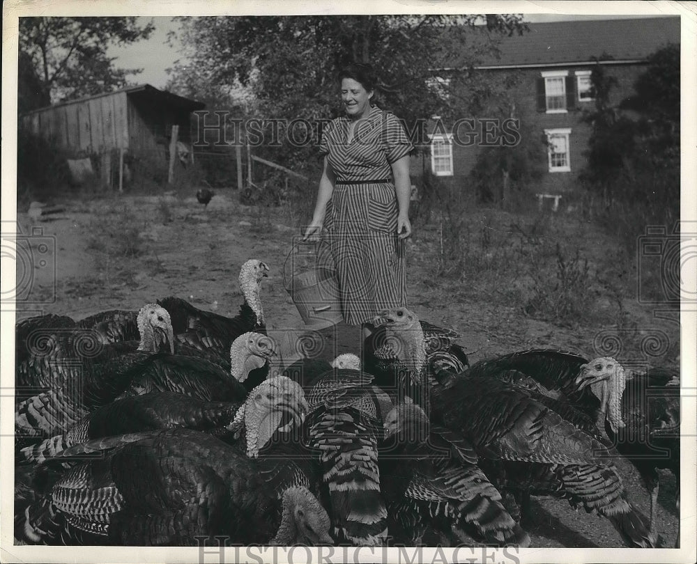 1954 Press Photo Homer Remsburg Feeding Turkeys Maryland Middleton - nea64479 - Historic Images