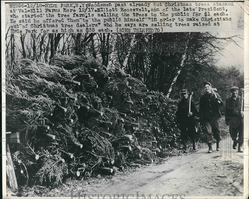 1948 Press Photo Elliott Roosevelt with Christmas Trees - nea64496 - Historic Images